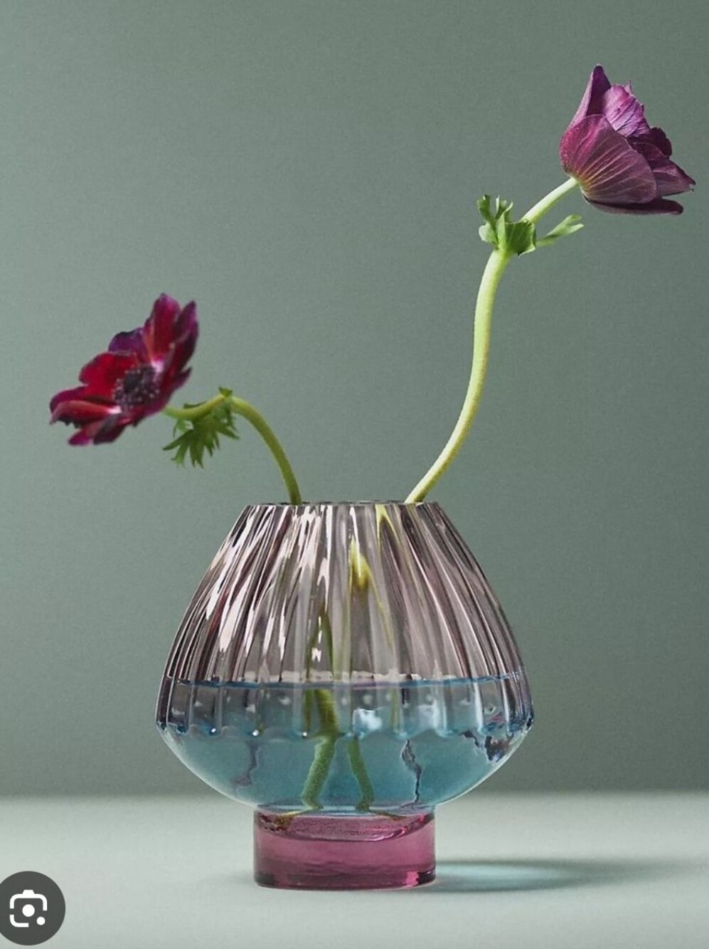 Anthropologie Bibi Glass Vase